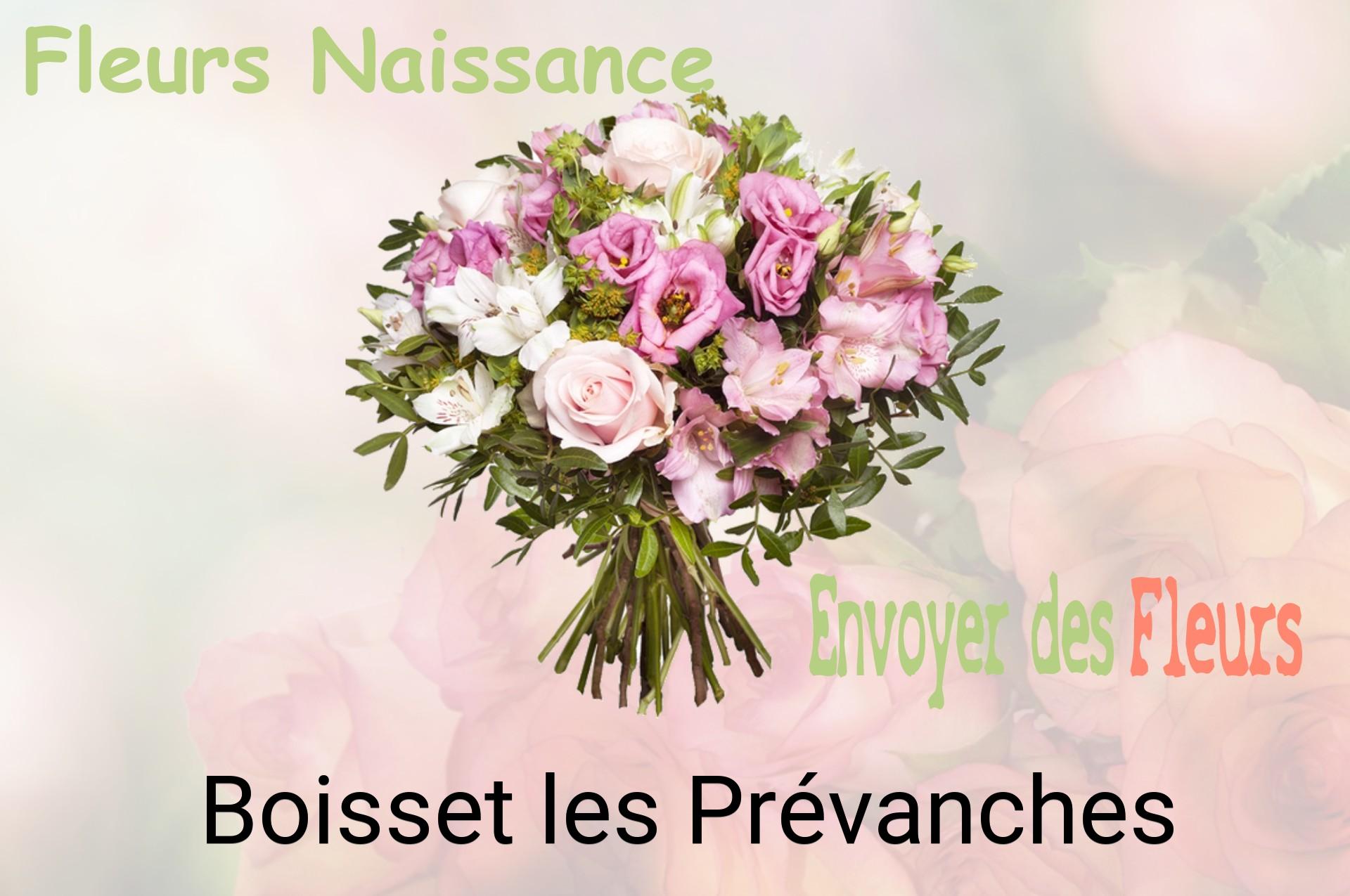 Bouquet de fleurs de naissance livré à Boisset-les-Prévanches
